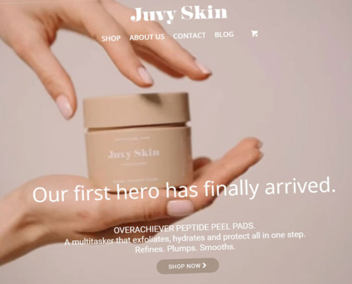 juvyskin web shop 2